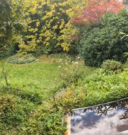 PXL_20241011_114954124.PANO.jpg