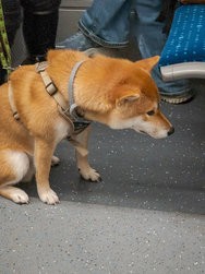 20241011_143014.jpg