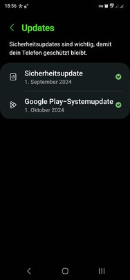 Screenshot_20241011_185653_Settings[1].jpg