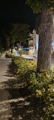 IMG_20241012_041207081.jpg