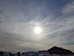 20241012_143128156.JPG