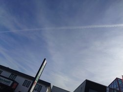 20241012_122743.JPG