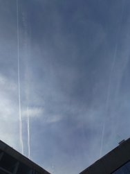 20241012_124204.JPG
