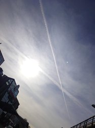 20241012_122740.JPG
