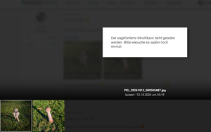 Opera Momentaufnahme_2024-10-12_101136_www.android-hilfe.de.png