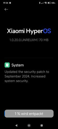 Screenshot_2024-10-12-19-34-34-074_com.android.updater.jpg