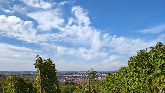 IMG_20241006_144229242_HDR.jpg