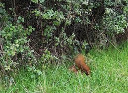 IMG_20241005_171032458_HDR_g.jpg