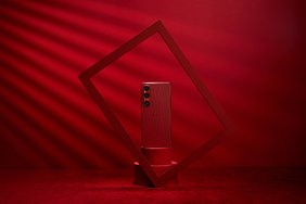 Scarlet_1 (1).jpg
