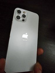 1000038729.jpg 1000038729.jpg