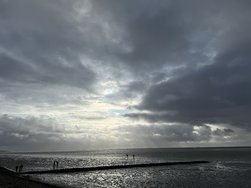 IMG_5114.jpeg