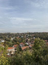 IMG_5263.jpeg