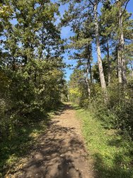 IMG_5288.jpeg