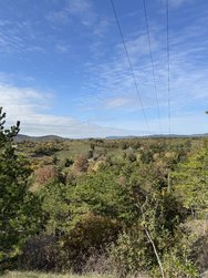 IMG_5309.jpeg