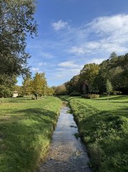 IMG_5314.jpeg
