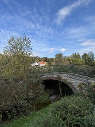 IMG_5318.jpeg