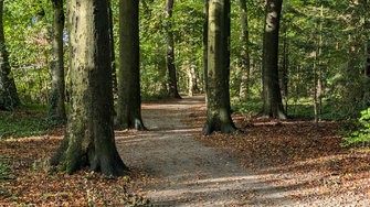 PXL_20241013_074918833.jpg