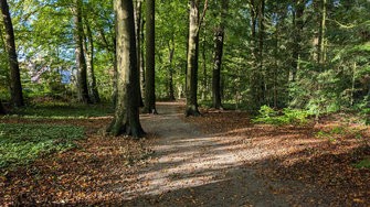 PXL_20241013_074926845.jpg