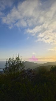 IMG_20241004_173107.jpg