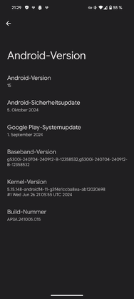 Screenshot_20241015-212943.png