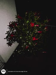 IMG_20241015_221328799.jpg
