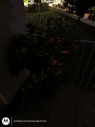 IMG_20241015_221312178_HDR.jpg