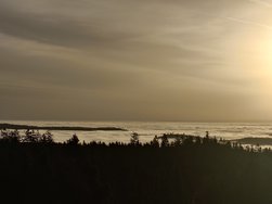 20241016_082816.JPG