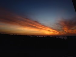 20241016_073706.JPG