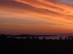 20241016_074021.JPG