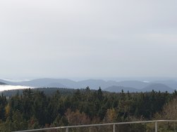 20241016_100433.JPG