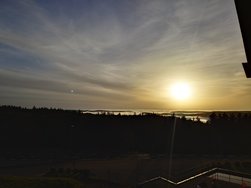 20241016_082659.JPG