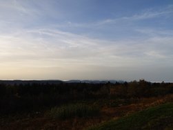 20241016_081912.JPG