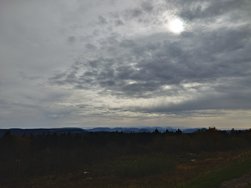 20241016_142519.JPG