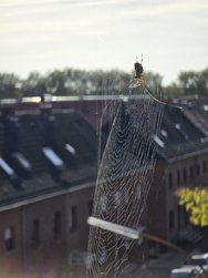 20241016_120208.jpg