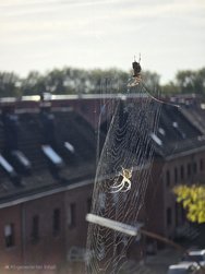 20241016_234335.jpg