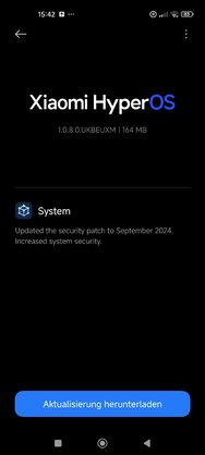 Screenshot_2024-10-17-15-42-20-497_com.android.updater.jpg