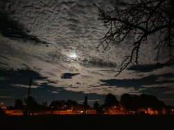 IMG_20241016_202419.jpg