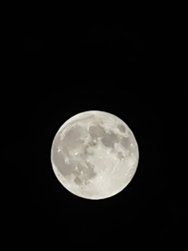 IMG_20241017_224343.jpg