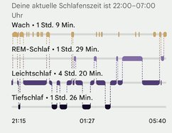 Screenshot_20241018_060235_com_fitbit_FitbitMobile_MainComposeActivity.jpg