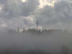PXL_20241018_070254563.RAW-01.COVER.jpg