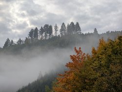 PXL_20241018_072650795.RAW-01.COVER.jpg