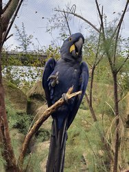 IMG_3684.jpeg