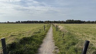 IMG_2281.jpeg