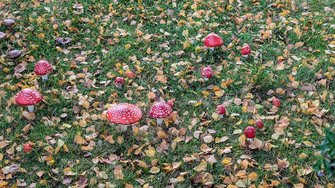 PXL_20241004_055656964~2.jpg