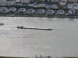 PXL_20241019_094437826~2.jpg