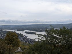 PXL_20241019_093308446.jpg