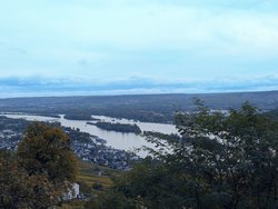 PXL_20241019_093308446~2.jpg