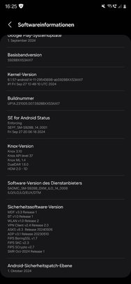 Screenshot_20241019_162516_Settings.jpg