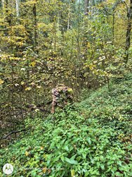 IMG_20241019_085934603_HDR.jpg