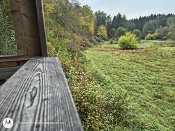 IMG_20241019_090542900_HDR.jpg